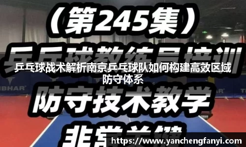 乒乓球战术解析南京乒乓球队如何构建高效区域防守体系