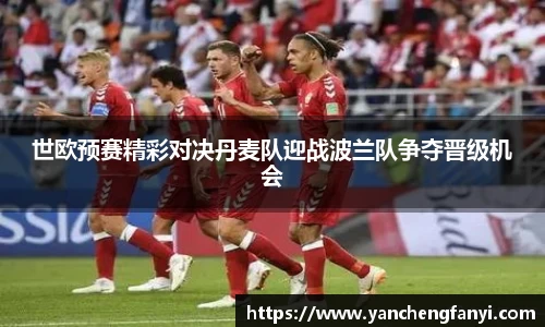 世欧预赛精彩对决丹麦队迎战波兰队争夺晋级机会